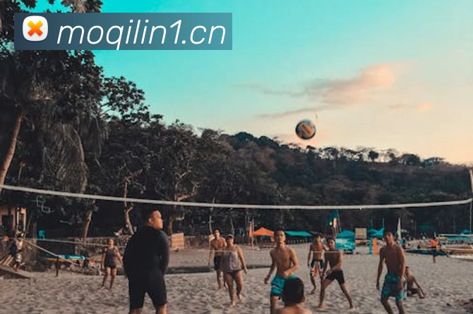 开云在线官网登录APP 体育赛事宣传图